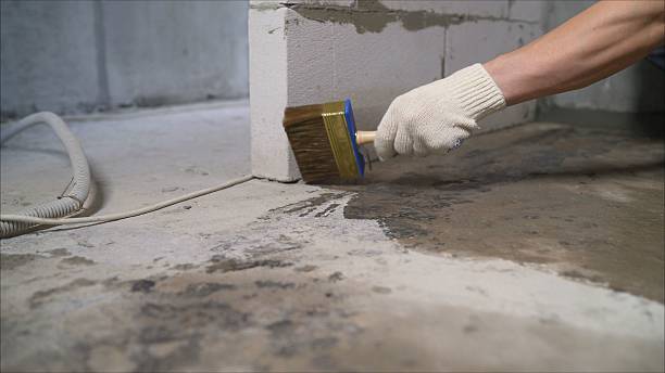 SJ Waterproofing Pros Crawl Space Encapsulation coverage map for Williamstown, OH and surrounding area